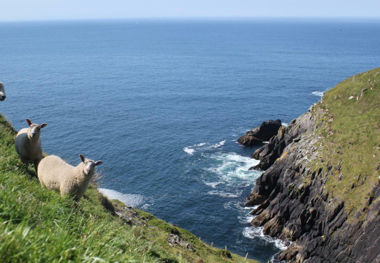 Dingle Bay View By Trident Holiday Homes Eksteriør bilde